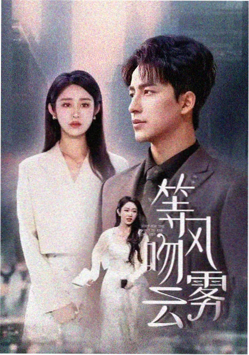 飘雪电影在线观看-扫黑·决不放弃